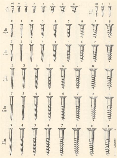 size 8 screw dimensions